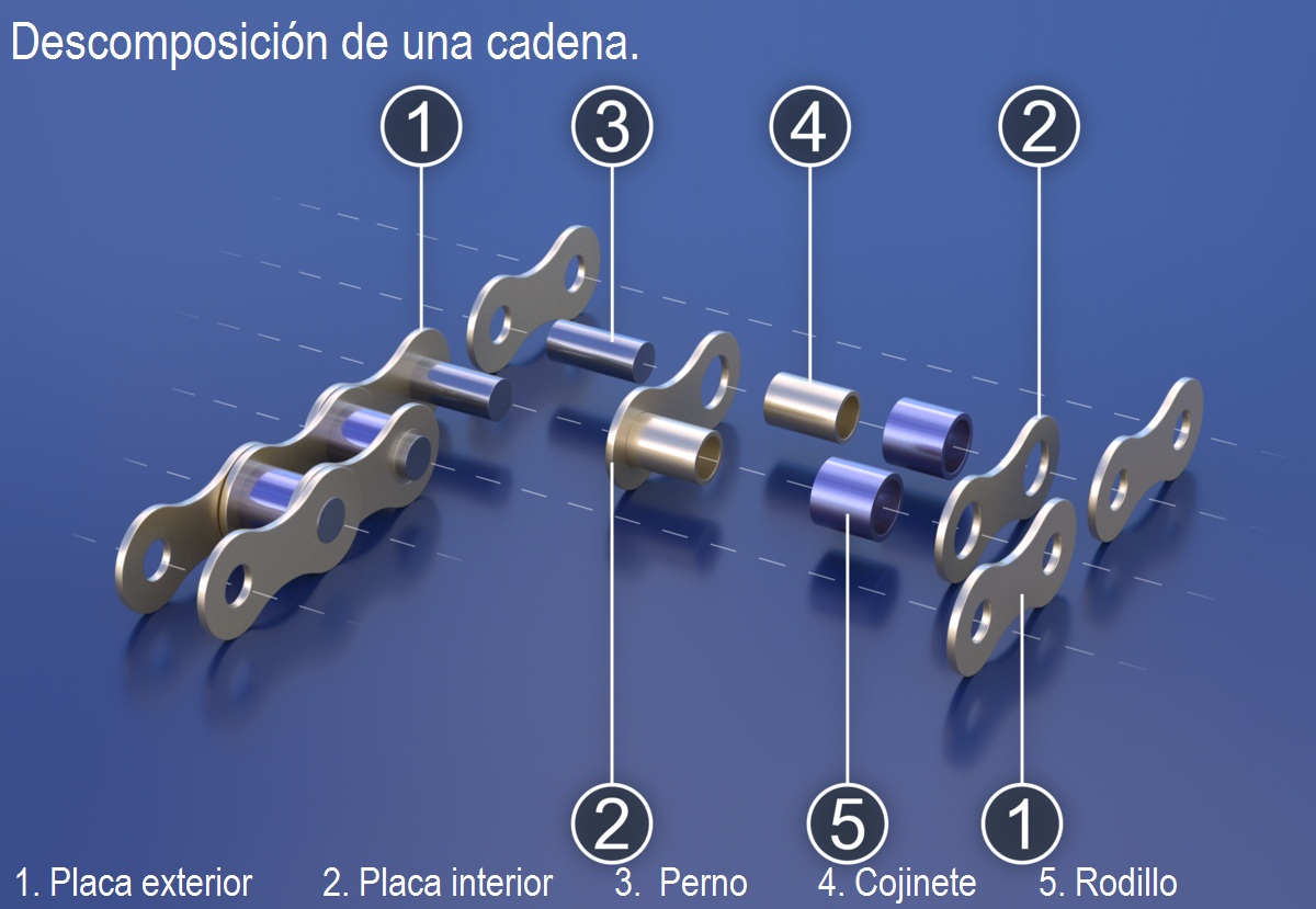 Imagen 3d de la descomposición de una cadena con indicación de los elementos que aparecen.