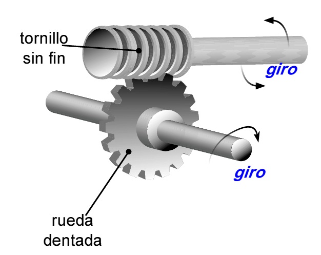 Representación 3d de un sistema sinfín-corona.